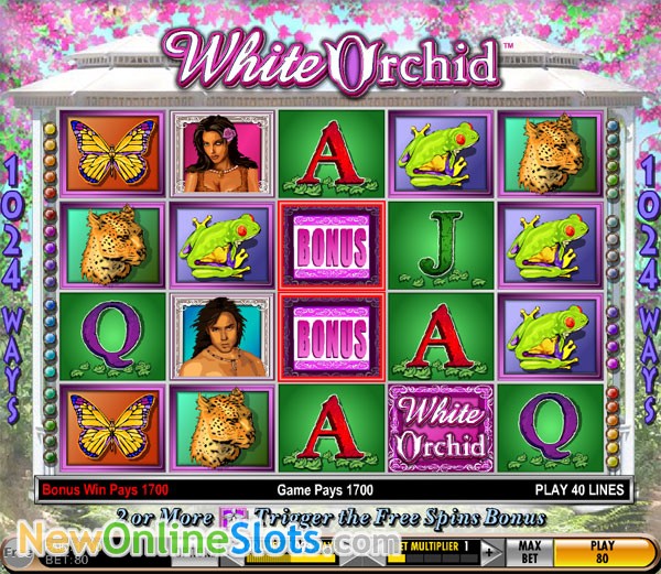 White orchid free slot games online